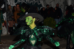 carnaval-miguelturra-desfile-2024