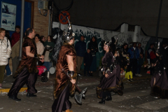carnaval-miguelturra-desfile-2024