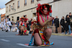 carnaval-miguelturra-desfile-2025