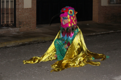 carnaval-miguelturra-desfile-2025