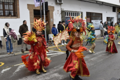 carnaval-miguelturra-desfile-2025