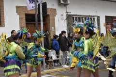 carnaval-miguelturra-desfile-2025