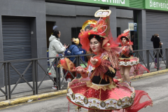 carnaval-miguelturra-desfile-2025