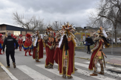 carnaval-miguelturra-desfile-2025