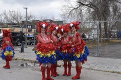 carnaval-miguelturra-desfile-2025