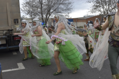 carnaval-miguelturra-desfile-2025