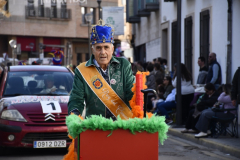 carnaval-miguelturra-desfile-2026