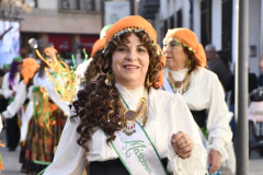 carnaval-miguelturra-desfile-2026
