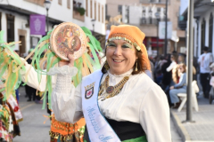carnaval-miguelturra-desfile-2026