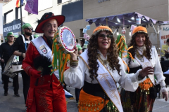 carnaval-miguelturra-desfile-2026