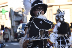 carnaval-miguelturra-desfile-2026