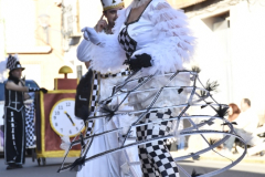 carnaval-miguelturra-desfile-2026-061-silvana