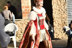 carnaval-miguelturra-desfile-2026-072-silvana