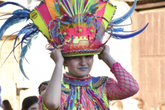 carnaval-miguelturra-desfile-2026