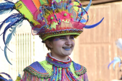 carnaval-miguelturra-desfile-2026