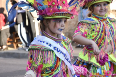 carnaval-miguelturra-desfile-2026