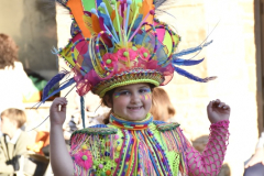 carnaval-miguelturra-desfile-2026