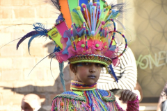 carnaval-miguelturra-desfile-2026