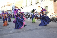 carnaval-miguelturra-desfile-2026