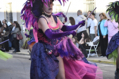 carnaval-miguelturra-desfile-2026-120-silvana