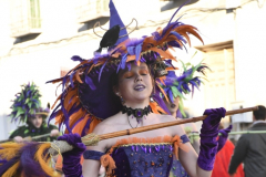 carnaval-miguelturra-desfile-2026