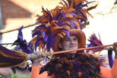 carnaval-miguelturra-desfile-2026