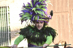 carnaval-miguelturra-desfile-2026