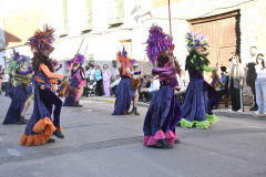 carnaval-miguelturra-desfile-2026