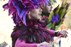carnaval-miguelturra-desfile-2026