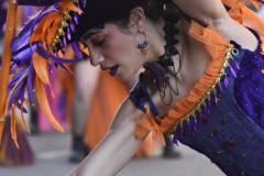 carnaval-miguelturra-desfile-2026-142-silvana