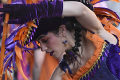 carnaval-miguelturra-desfile-2026