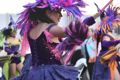 carnaval-miguelturra-desfile-2026-145-silvana