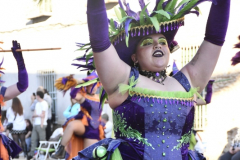 carnaval-miguelturra-desfile-2026