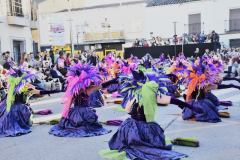 carnaval-miguelturra-desfile-2026-150-silvana