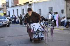 carnaval-miguelturra-desfile-2026-159-silvana