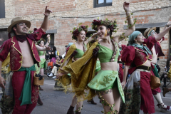 carnaval-miguelturra-desfile-2026