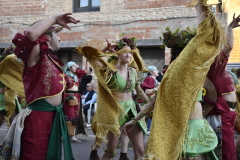 carnaval-miguelturra-desfile-2026