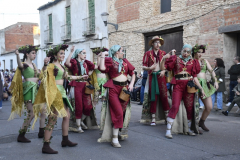 carnaval-miguelturra-desfile-2026-172-silvana