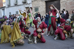 carnaval-miguelturra-desfile-2026