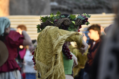 carnaval-miguelturra-desfile-2026-176-silvana