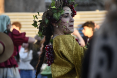 carnaval-miguelturra-desfile-2026