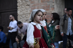 carnaval-miguelturra-desfile-2026