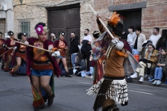 carnaval-miguelturra-desfile-2026
