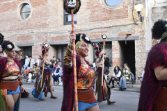 carnaval-miguelturra-desfile-2026