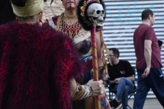 carnaval-miguelturra-desfile-2026-211-silvana