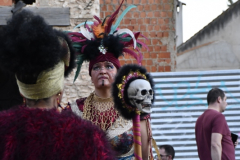 carnaval-miguelturra-desfile-2026