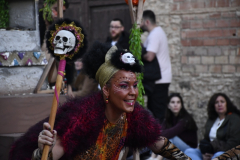carnaval-miguelturra-desfile-2026