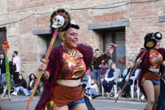 carnaval-miguelturra-desfile-2026