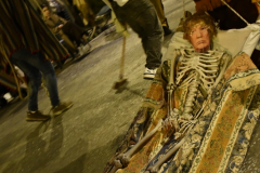 carnaval-miguelturra-desfile-2026-252-silvana