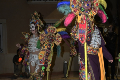 carnaval-miguelturra-desfile-2026-337-silvana